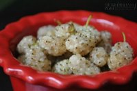 Siêu thực vật trị tiểu đường và mọi khối u hiệu quả hơn cả thuốc!