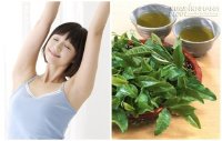 Nắng nóng đến đâu cũng chẳng lo mùi hôi cơ thể với mẹo rẻ bèo hiệu quả chỉ sau 10 giây