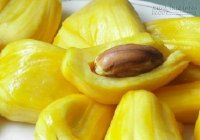 Thần dược giúp ngăn lão hóa cho da vô cùng hiệu quả rất ít người biết