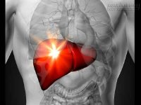 Giảm nguy cơ đau tim, thông động mạch nhờ loại quả quen thuộc này