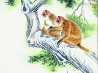 3 con giáp cẩn thận hao tài tốn của 6 tháng cuối năm