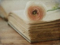 3 chòm sao nữ có phúc, tìm thấy hạnh phúc mới sau ly hôn