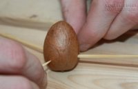 Cách chế biến thứ vứt đi thành thuốc quý chữa ung thư