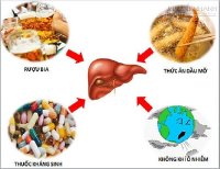 Bài thuốc điều trị viêm gan trúng độc bạn nên biết