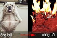 Những con giáp cháy túi trong 6  tháng cuối năm