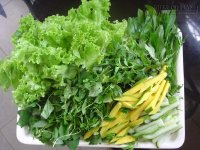 4 KHÔNG khi ăn rau sống để không hại sức khỏe