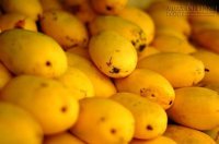 10 loại quả mùa hè dễ bị tẩm hóa chất nhất