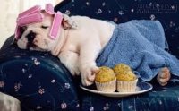 Bạn có phải người lười mà vẫn sẵn số hưởng không