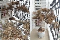 Bạn cần đề phòng cao độ khi có những điềm gở phong thủy này xuất hiện, dự báo rủi ro đang rình rập và sẽ ập đến bất cứ lúc nào