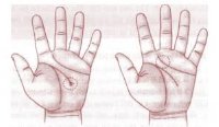 Muốn biết có lấy được chồng tỷ phú hay không, chỉ cần xem chỉ tay sẽ rõ