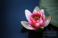 Bạn có thật sự biết khi nào nên thay đổi và khi nào nên chấp nhận?