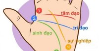 Thầy hướng dẫn, chỉ cách bạn tự xem được tướng bàn tay, chuẩn – chính xác không ngờ