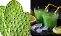 Bất ngờ với tác dụng giảm cân của mít non, xương rồng