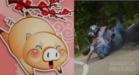 Tết 2017: Những con giáp này nên hạn chế đi chơi xa để bình an, yên ổn cả năm