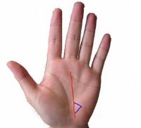 Nếu xuất hiện những đường chỉ tay này, cẩn trọng gặp tai họa trong tương lai