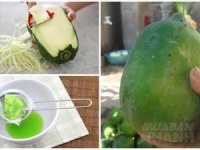 Xay nhuyễn nửa quả đu đủ xanh lấy nước cốt rồi thoa lên mặt, bạn sẽ giật mình ngỡ ngàng vì đầu tuần mặt chi chít thâm nám, cuối tuần da bỗng trắng bóc như bông bưởi
