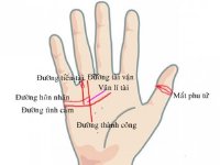 Lòng bàn tay vân loạn, đường chỉ tay nhiều, đứt quãng là đại biểu cho điều gì?