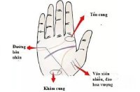 Phụ nữ sở hữu tướng tay này có vận đào hoa cả đời