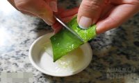 Lấy vài giọt nha đam trộn với sữa chua không đường rồi đắp lên, da chẳng những trắng lên mà lỗ chân lông cũng được se khít 100%