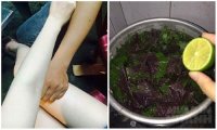 Đun lá tía tô rồi vắt thêm nước chanh vào để tắm, da trắng bật lên 2 tông mà không lo bắt nắng, hết sạch mụn lưng