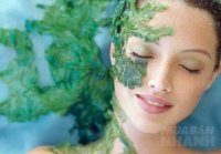 Cách trị nám hiệu quả từ thiên nhiên mà không cần phải đi Spa