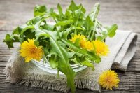Cách trị nám da bằng bồ công anh ít người biết