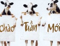 Tử vi tuần mới từ 20-03 đến 26-03-2017 của 12 con giáp