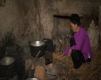 Bữa Cơm Của Mẹ