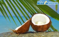 Bí quyết sử dụng dừa