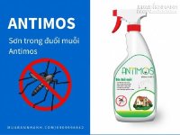 Diệt côn trùng trong nhà vệ sinh