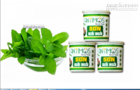 Đuổi muỗi bằng bạc hà