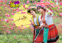 Làm thế nào để có chuyến du lịch Tết hoàn hảo?