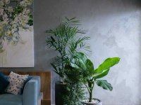 Sơn hiệu ứng từ đâu mà có