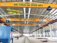 Giá cẩu trục 7,5 tấn