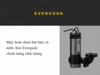 Máy bơm chìm hút bùn và nước thải Evergush chính hãng chất lượng