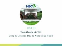 Công ty Cổ phần Đầu tư Nuôi trồng HSCB