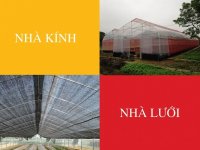 So sánh nhà lưới và nhà kính