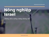 Làm nông nghiệp công nghệ cao kiểu Israel, những điều tưởng chừng không thể