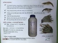 Triệu chứng và cách phòng ngựa bệnh phân trắng cho tôm