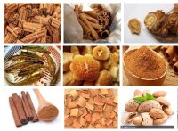 Đặc sản Châu Á - quế Trà Bồng