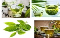 Vì sao nói trà xanh có tác dụng giảm cân?