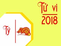 Tử vi tuổi Tý năm 2018