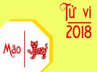 Tử vi tuổi Mão năm 2018