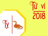 Tử vi tuổi Tỵ năm 2018