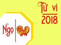 Tử vi tuổi Ngọ năm 2018