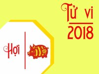 Tử vi tuổi Hợi năm 2018