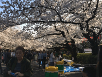 9 cách tiêu tiền thông minh của người Nhật bạn nên học hỏi