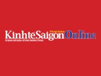 Thời báo Kinh tế Sài Gòn đưa tin về VINADESIGN: Nhu cầu thiết kế web tăng cao