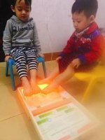 Đá Muối Himalaya giá bao nhiêu?