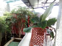 Mở quán kinh doanh cafe có thực sự dễ